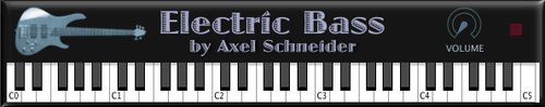 axel_schneider-electric_bass.jpg