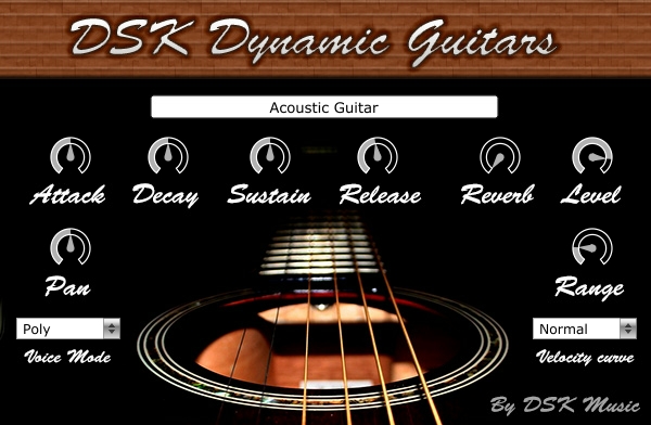 dsk-dynamic-guitars.jpg