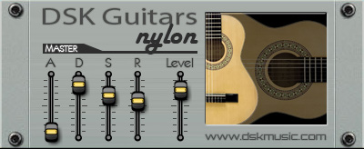 dsk_guitars_nylon.jpg