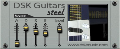 dsk_guitars_steel.jpg