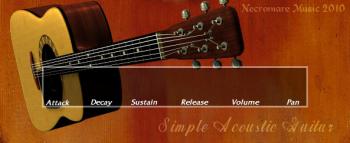 simple-acoustic-guitar-necromare.jpg